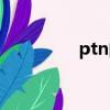 ptn的含义（ptn是什么）