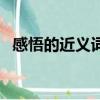 感悟的近义词是不是感受（感悟的近义词）