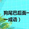 狗尾巴后面一个貂打一成语（狗尾巴一个貂打一成语）