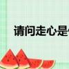 请问走心是什么意思（走心什么意思啊）