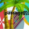 passage的汉语意思（passages的意思）