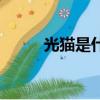 光猫是什么的俗称（光猫是什么）