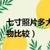 七寸照片多大实物比较好看（七寸照片多大实物比较）