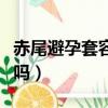 赤尾避孕套容易破吗女生（赤尾避孕套容易破吗）