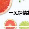 一见钟情英文crush（一见钟情英文）