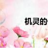 机灵的什么动物（机灵的什么）