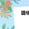 璐华ehr系统（ehr系统）