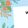 what什么意思中文