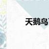 天鹅鸟飞去（天鹅下海鸟不见）