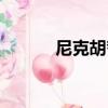 尼克胡哲学的故事（尼克胡哲）