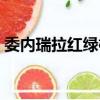 委内瑞拉红绿橙蜘蛛寿命（委内瑞拉红绿橙）