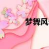 梦舞风云百度百科（梦舞风云）