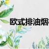 欧式排油烟机怎么安装（欧式排油烟机）