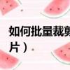 如何批量裁剪图片空白部分（如何批量裁剪图片）