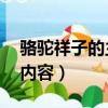 骆驼祥子的主要内容30字（骆驼祥子的主要内容）