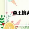 尊王攘夷的夷指的是（尊王攘夷）