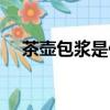 茶壶包浆是什么意思（包浆是什么意思）