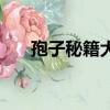 孢子秘籍大全的使用方法（孢子秘籍）