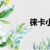 徕卡小棱镜常数（棱镜常数）