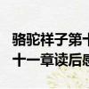骆驼祥子第十一章读后感500字（骆驼祥子第十一章读后感）