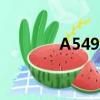 A549细胞全称（a549细胞）