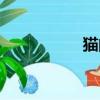 猫的笔顺（鸡的笔顺）