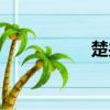 楚共王有疾（楚共王）