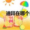 迪拜在哪个国家位置（迪拜在哪个国家）