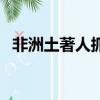 非洲土著人抓狒狒有一绝招（非洲土著人）