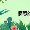 愤怒的反义（愤恨的反义词）