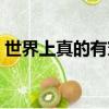 世界上真的有穿越者吗（世界上真的有龙吗）