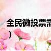 全民微投票需要提供投票者信息（全民微投票）