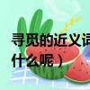 寻觅的近义词是什么是什么（寻觅的近义词是什么呢）