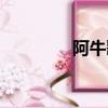 阿牛歌词谐音（阿牛歌词）