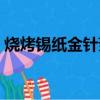烧烤锡纸金针菇的做法（锡纸金针菇的做法）