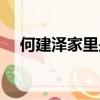 何建泽家里是做什么的（何建泽富二代）