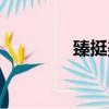 臻挺美是真的吗（臻挺美）