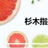 杉木指接板图片（杉木指接板）