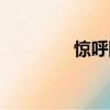 惊呼网通关计划（惊呼网）