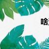 啥汤最补身体（啥汤）