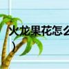 火龙果花怎么吃的方法视频（火龙果花怎么吃）