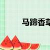 马蹄香草药主治什么病（马蹄香）