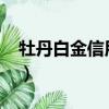 牡丹白金信用卡年费2023（牡丹白金信用卡）