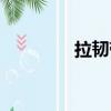 拉韧带有什么用（拉韧带）