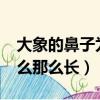 大象的鼻子为什么那么长?（大象的鼻子为什么那么长）