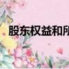 股东权益和所有者权益的区别（股东权益）