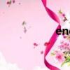 engel注塑机（engel）