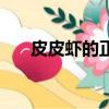 皮皮虾的正确吃法（皮皮虾营养价值）