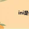 ini是什么格式的文件（ini）