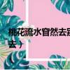 桃花流水窅然去别有天地非人间是什么成语（桃花流水杳然去）